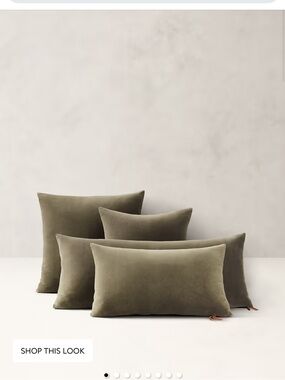 Qty 2 BR Home Velvet Timeless Pillow + Insert